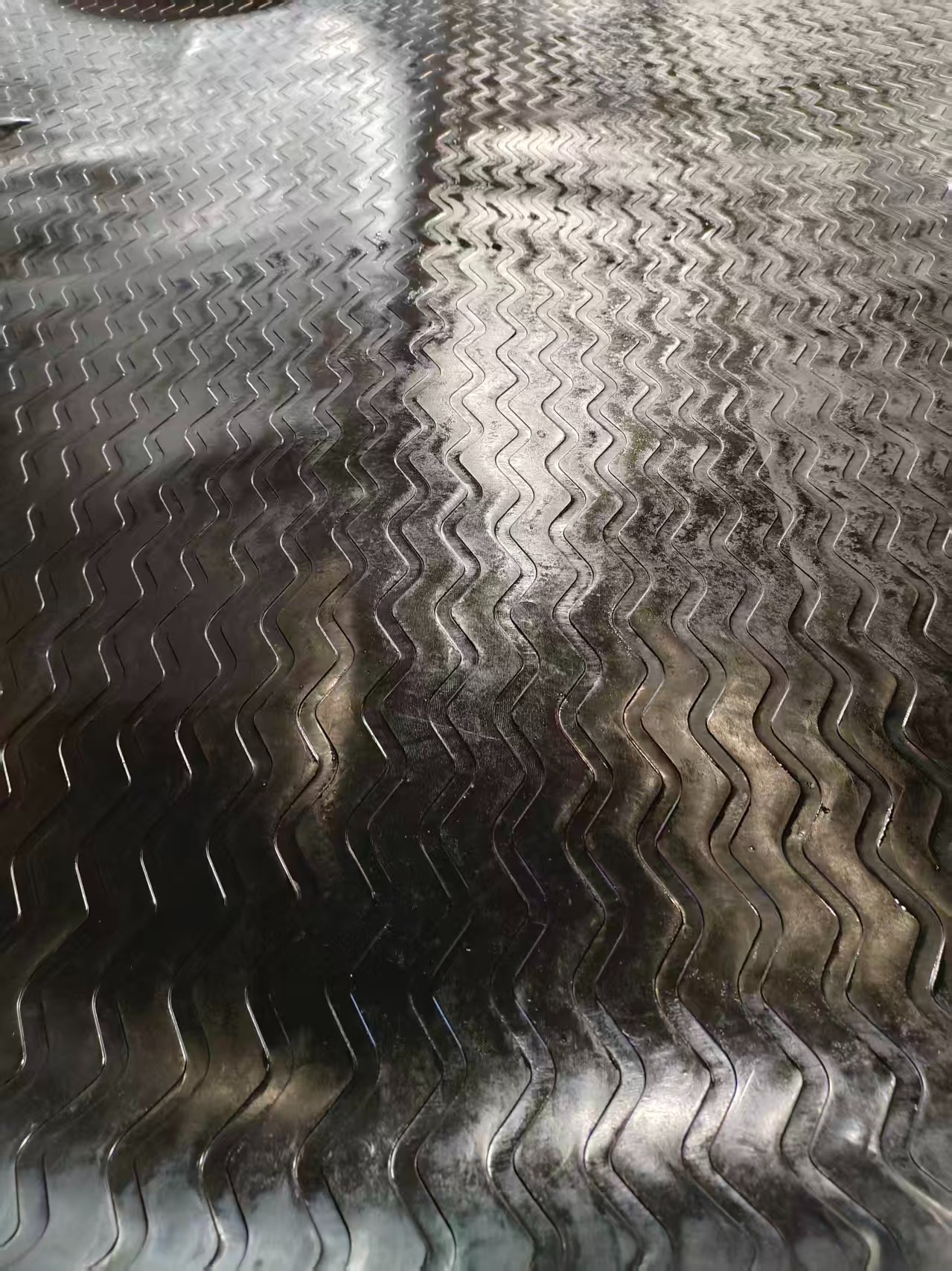 How Waterbeds Help Reduce Dairy Cow Lameness & Improve Animal Welfare